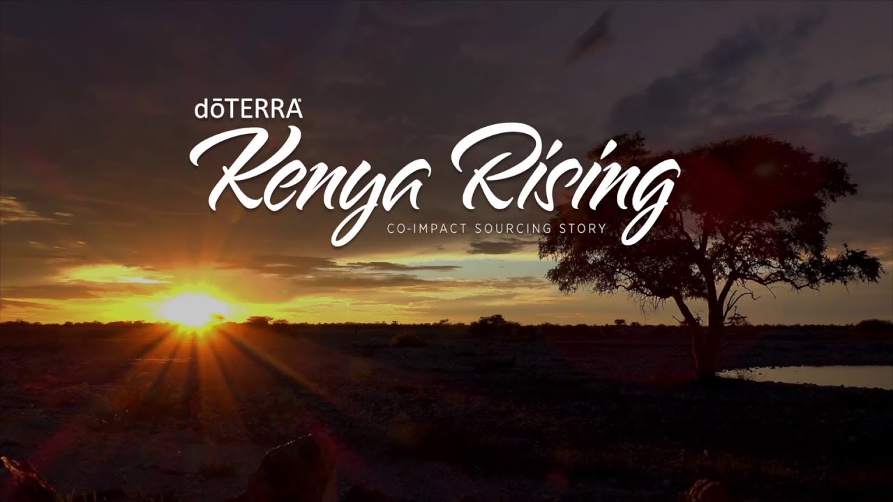 Kenya Rising: Co-Impact Sourcing