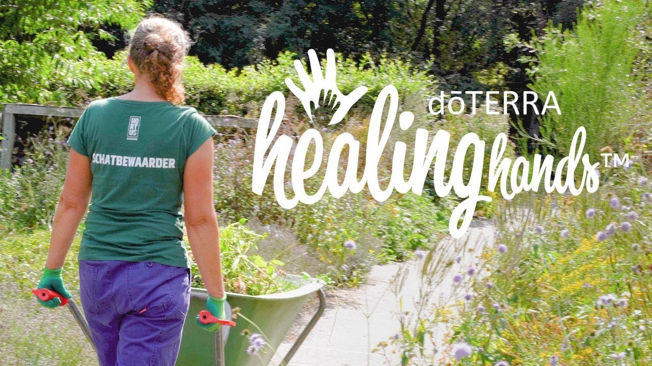 Healing Hands - Hortus Alkmaar Botanical Gardens