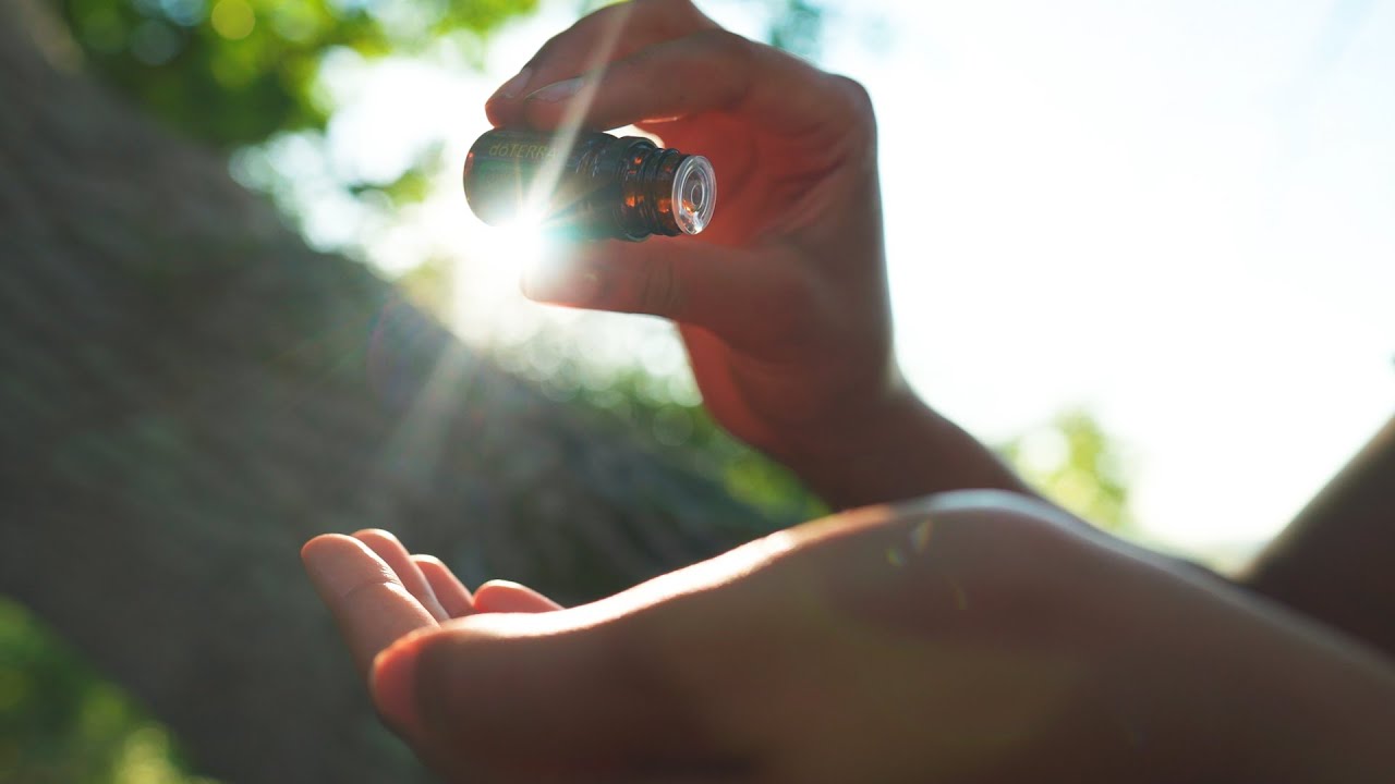 A Journey of Wellness Discovery