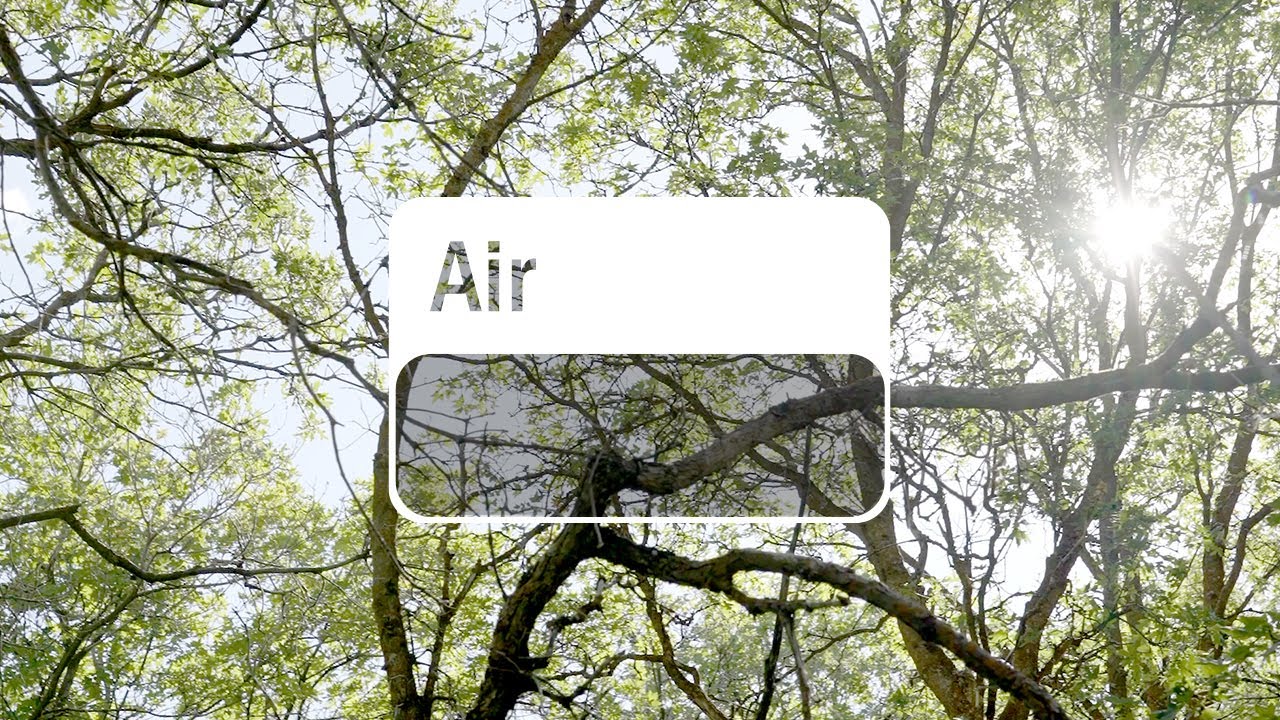 dōTERRA Air (Translated Subtitles)