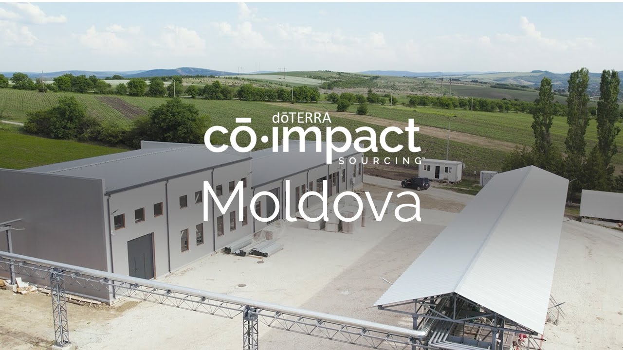 doTERRA Co-Impact Sourcing: Moldova Distillery Update