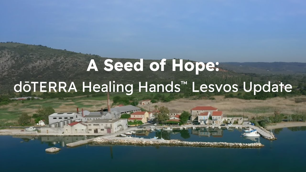 A Seed of Hope: doTERRA Healing Hands Lesvos Update