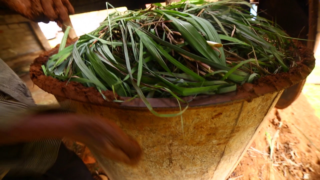 Co-Impact Sourcing - Lemongrass
