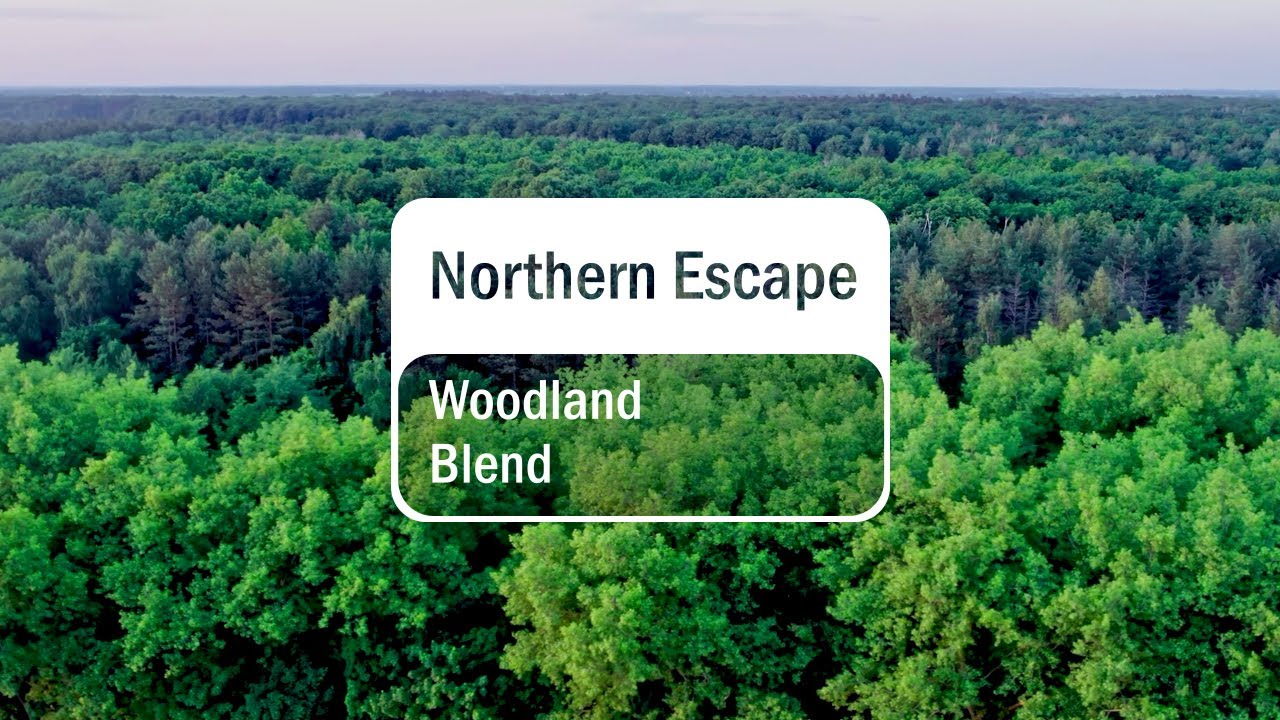 doTERRA Northern Escape (Translated Subtitles)