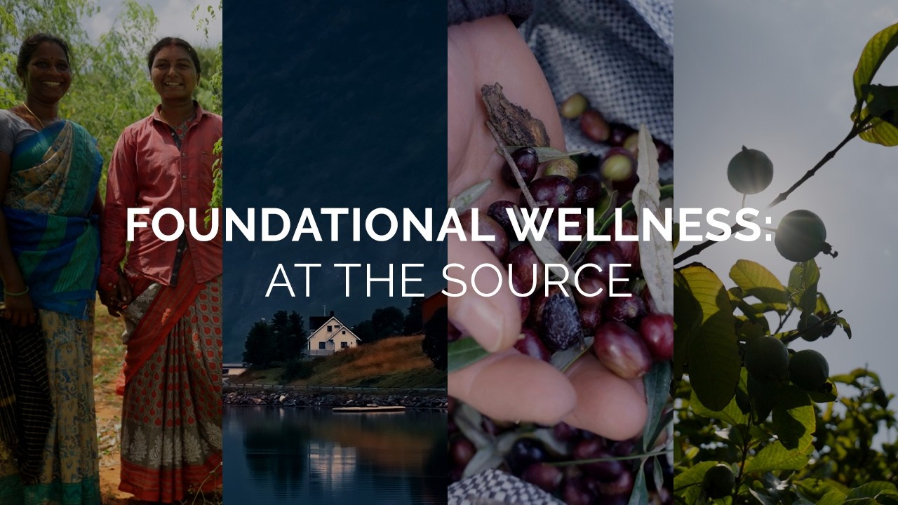 Foundational Wellness: At The Source