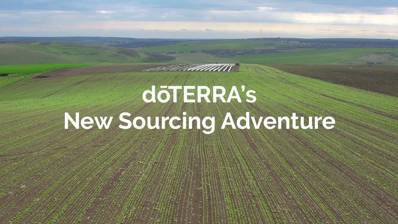 doTERRA's New Sourcing Adventure - Moldova (Translated Subtitles)
