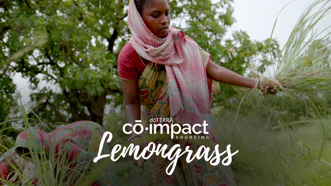 doTERRA Co-Impact Sourcing - Lemongrass