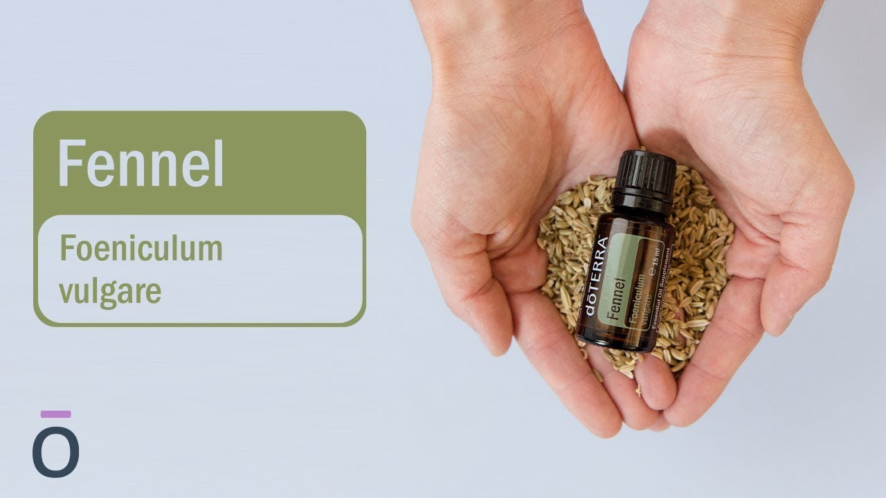 Beneficiile uleiului esențial de Fenicul (Fennel) doTERRA