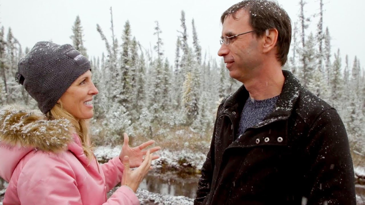 doTERRA Black Spruce Essential Oil Sourcing (Translated Subtitles)