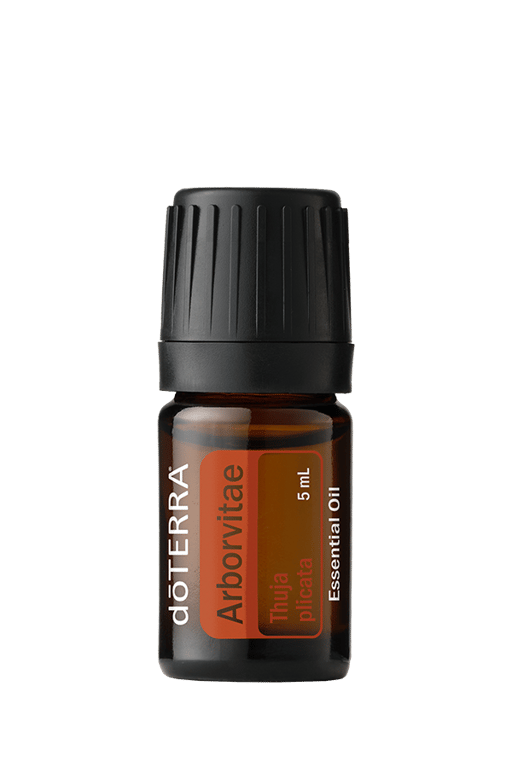 Arborvitae Essential Oil