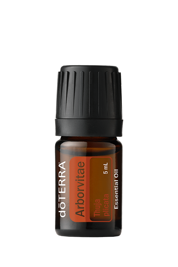 Arborvitae Essential Oil