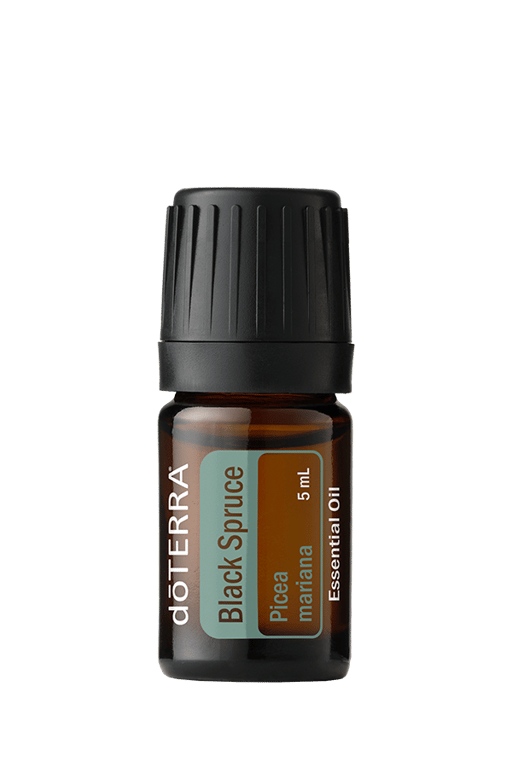 Black Spruce Essential Oil