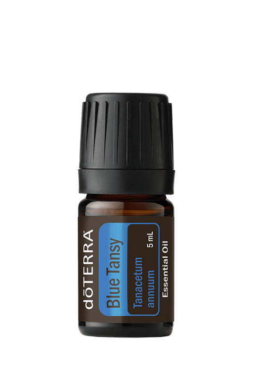 Blue Tansy Essential Oil