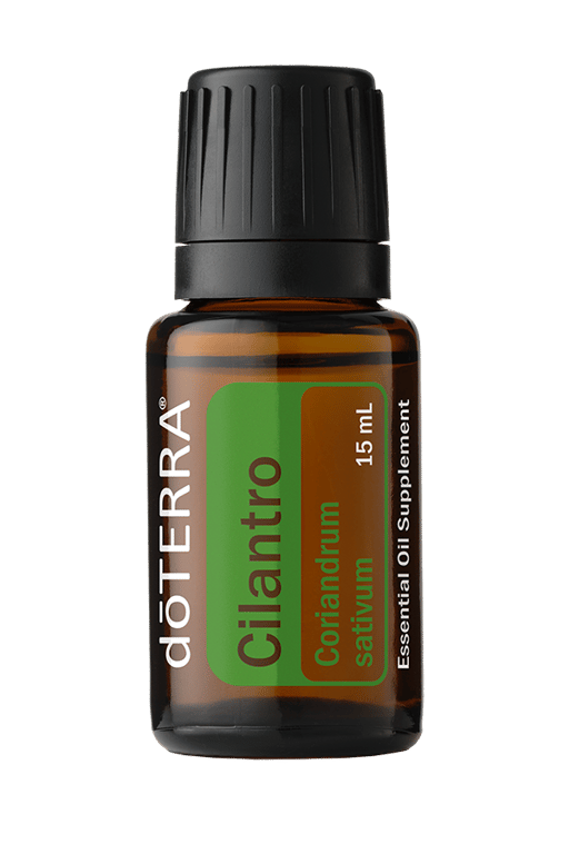 Cilantro Essential Oil