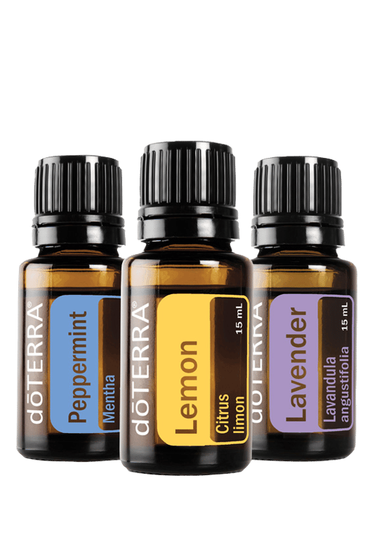 Beginner's Trio Kit