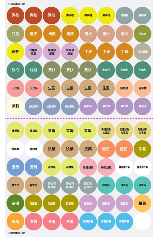 Chinese dōTERRA Single Essential Oil Cap Stickers