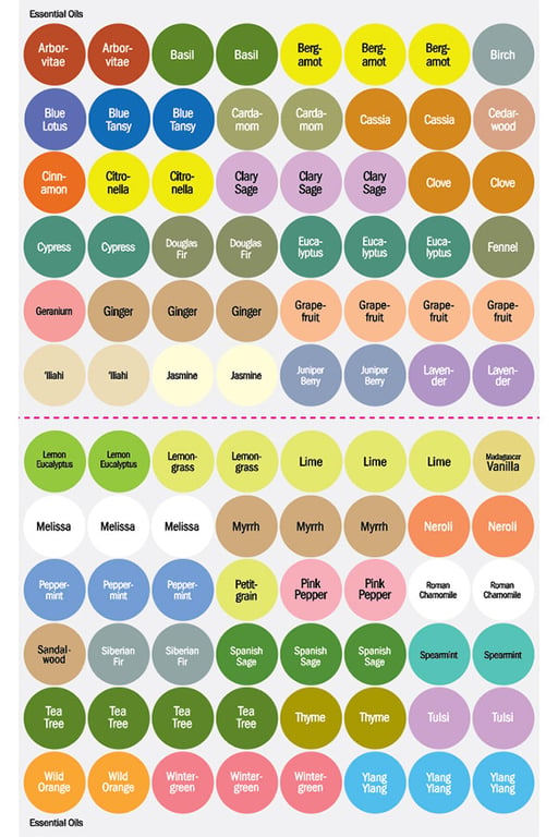 English dōTERRA Single Essential Oil Cap Stickers 2023/2024