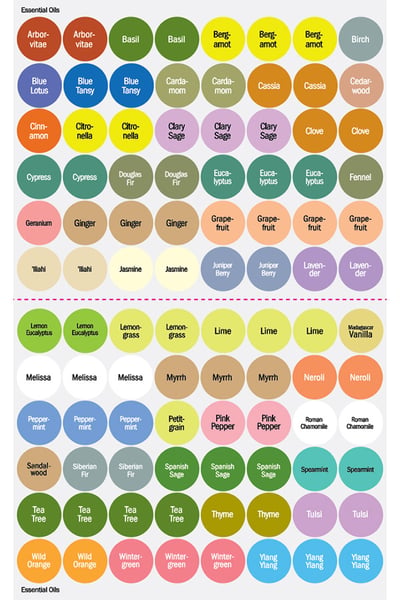 English dōTERRA Single Essential Oil Cap Stickers 2023/2024