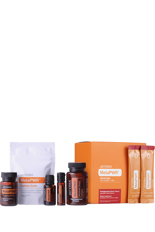 MetaPWR System Kit