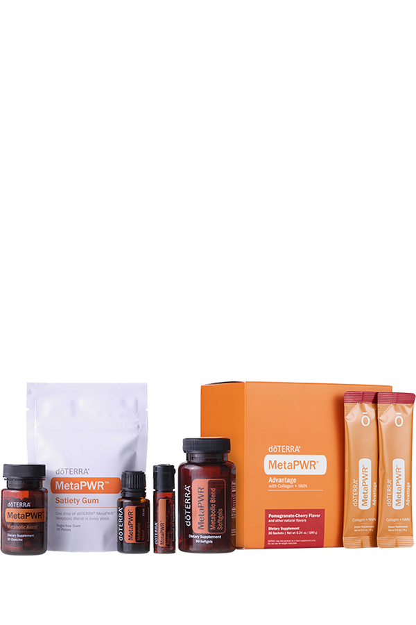 MetaPWR System Kit