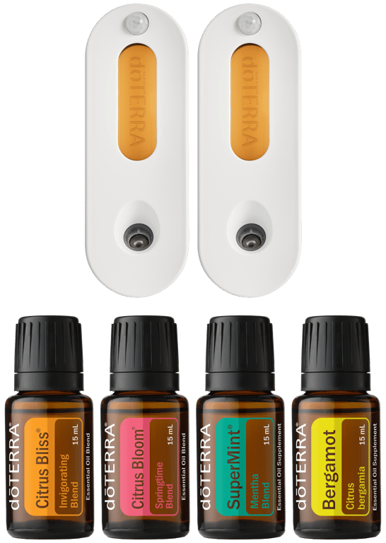 Re-Scent Your Home Kit 