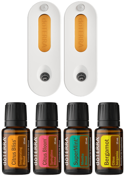 Re-Scent Your Home Kit 