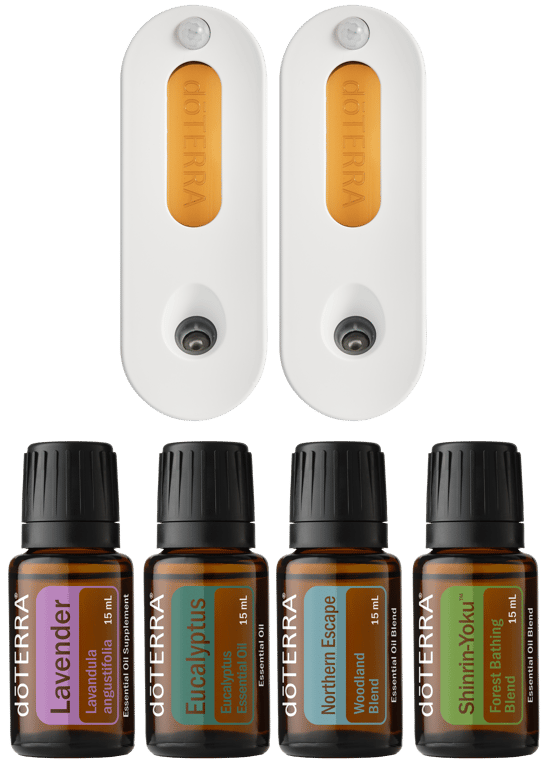 Re-Scent Your Home Kit 