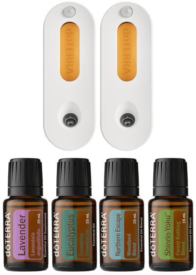 Re-Scent Your Home Kit 