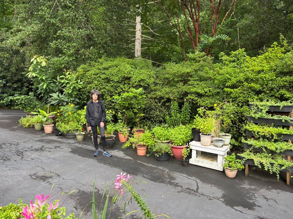 Gregory and Anchali‘s front garden where I counted about 80 pots!