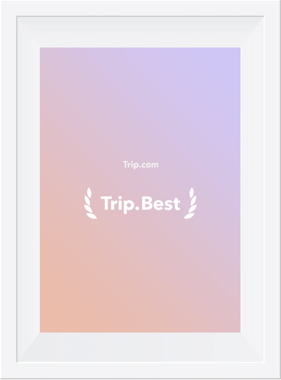 Trip.com Trip.Best Premium Hotel Award