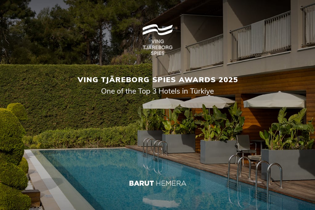 Barut Hemera Received VING Tjareborg Spies Awards 2025
