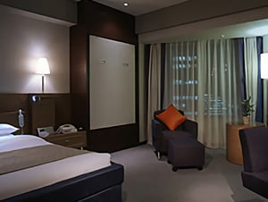 ANA InterContinental Tokyo - Accessible Room 29th floor