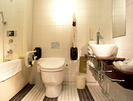 ana-intercontinental-tokyo-accessible-room-7th_floor_3