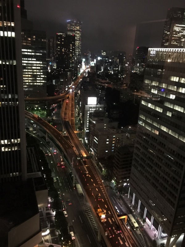 ana_intercontinental_tokyo_-_view
