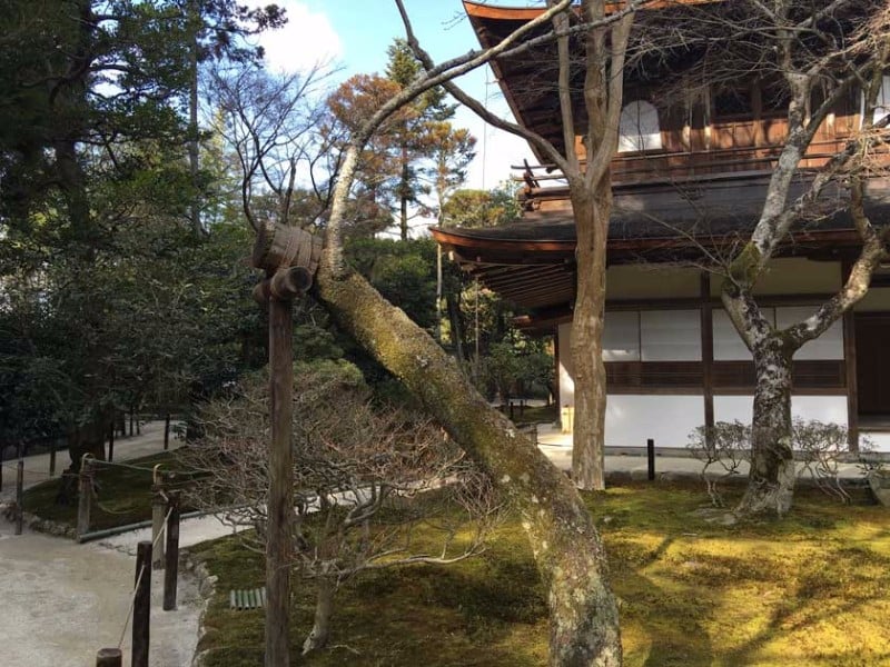 2236 ginkakuji garden 3