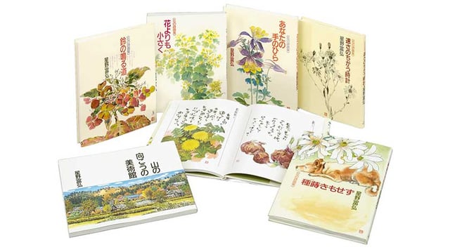 Tomihiro Hoshino Books