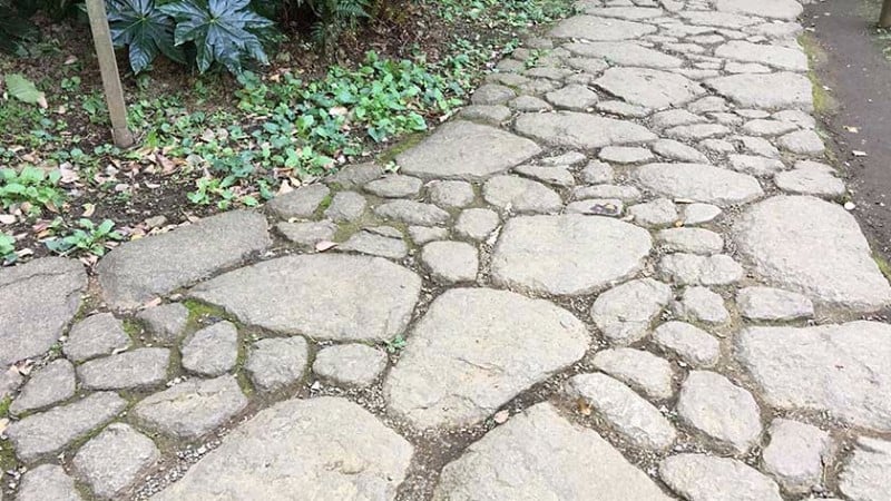 2611 rikugien path 1