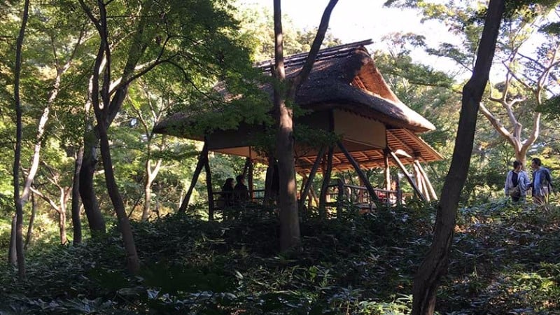 2611 rikugien tsutsuji chaya tea house