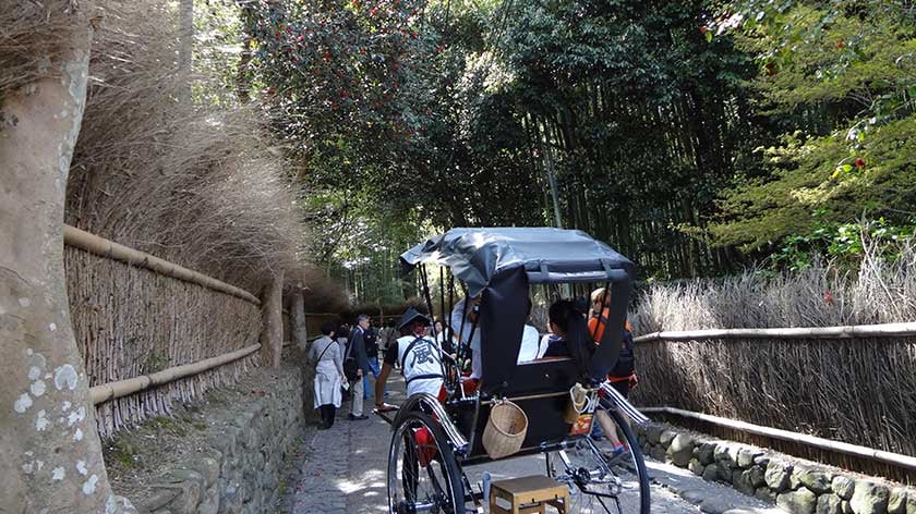 Rickshaw riders entering the bamboo grove