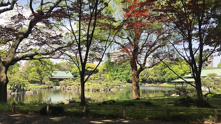 Kiyosumi Garden