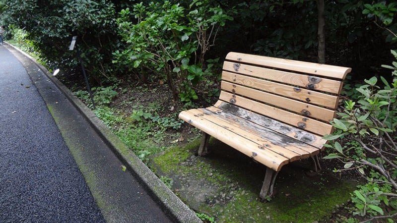 3847 shinjuku gyoen bench