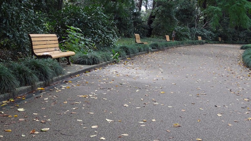 3847 shinjuku gyoen benches