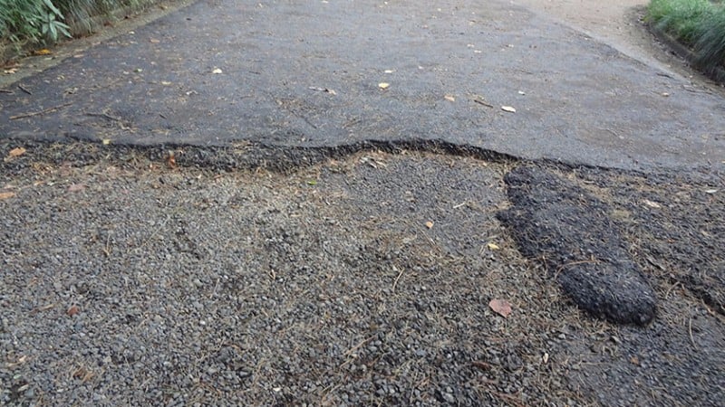 3847 shinjuku gyoen broken path