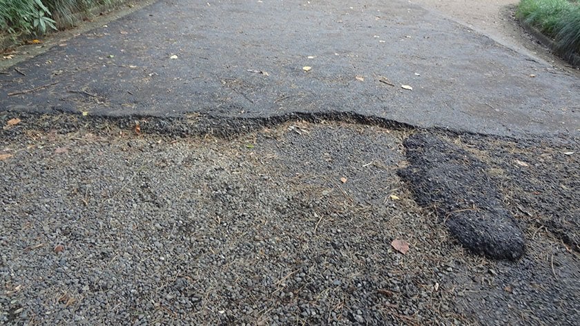 Broken Path in Shinjuku Gyoen
