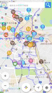 Sample of WheeLog! interface