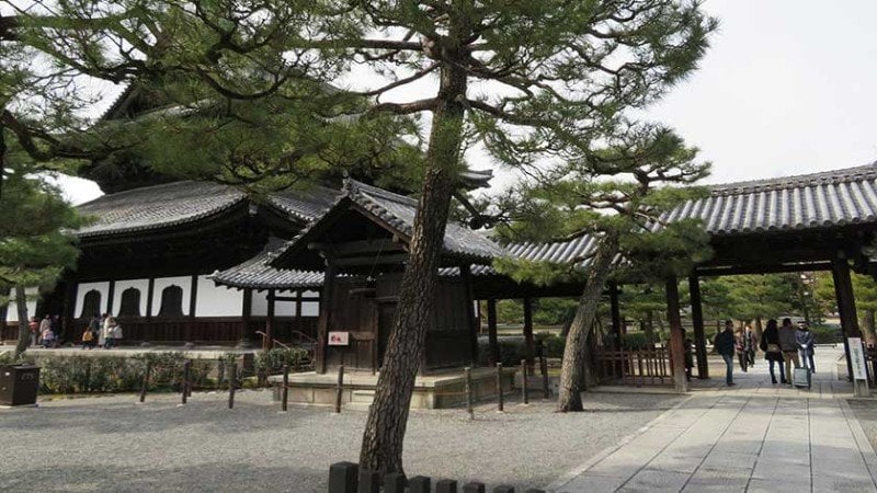 4036 kenninji feature