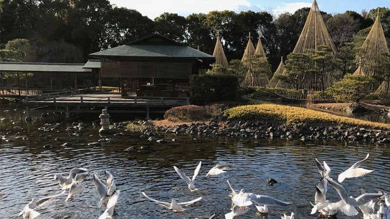 4100 shirotori garden feature