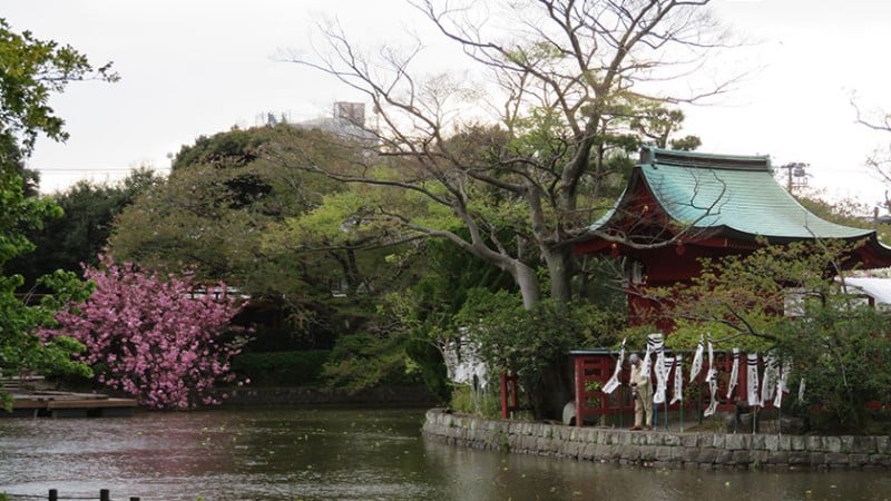 4129 tsurugaoka hachimangu pond