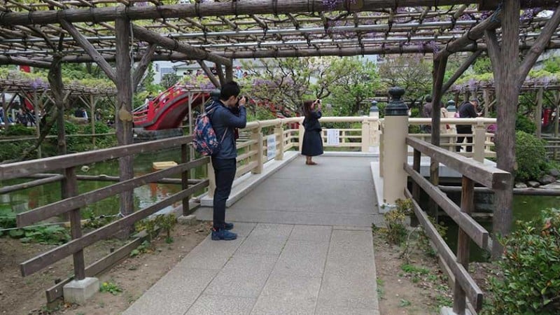 4146 kameido tenjin flat paths