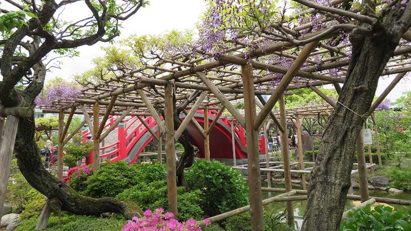Kameido Tenjin Shrine garden